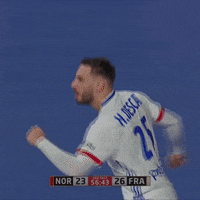 Ffhandball GIF by Fédération Française de Handball