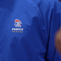 Ffhandball GIF by Fédération Française de Handball