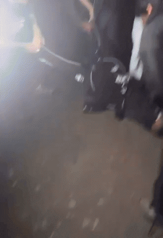 Crowd Surf Ugh GIF by New 11