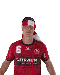 Handball-Bundesliga Fan Sticker by LIQUI MOLY HBL