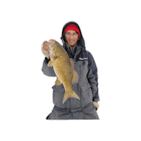 Snow Winter Sticker by WindriderGear