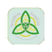 Champions Irish Sticker by Ashling Daly