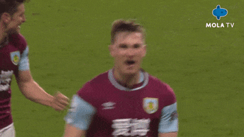 Happy Fun GIF by MolaTV