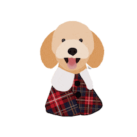 French Dog Sticker