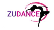 Paraguay Zumba Sticker