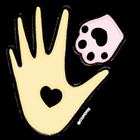 copomx dog puppy dogs puppies GIF