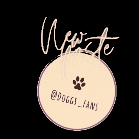 Doggsfans giphygifmaker GIF