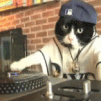 Video gif. A black and white cat in a backward baseball cap spins a record on turntables and throws its paws in the air. 