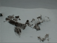 Back To School Education GIF by DIIMSA Stock