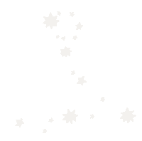 Star Sticker by Studio Leigh