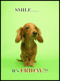 friday GIF