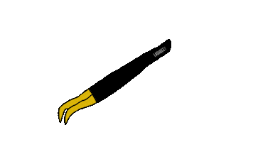 Beauty Lashes Sticker by LashBeePro