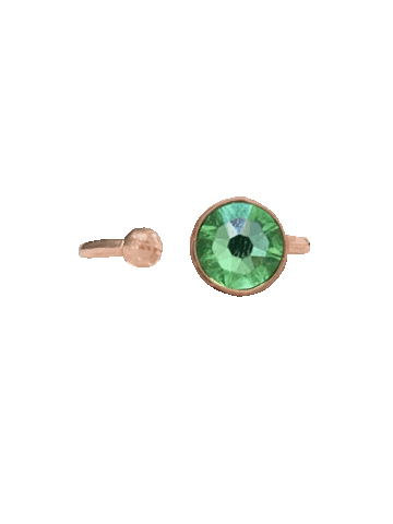 04Anillo Sticker by Limalla