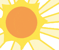 Rabbit Pirate Sticker