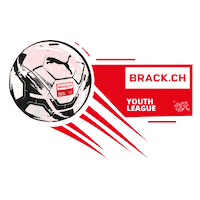 Youth League Brack Sticker by BRACK.CH AG
