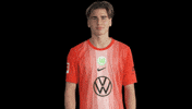 Three Points Win GIF by VfL Wolfsburg