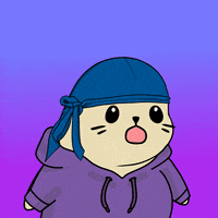 Fun Wow GIF by Sappy Seals Community