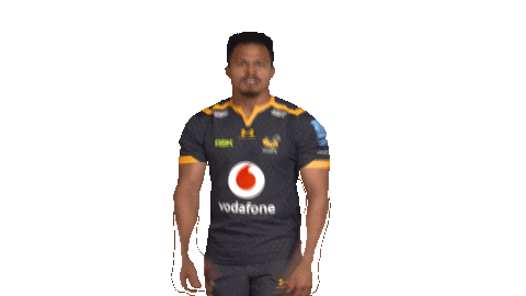 Rugby Sticker by Wasps