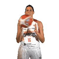 Basketball Basket Sticker by ESBVA-LM
