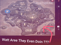 Free Fire What GIF