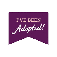 Adopted Sticker by Camp Cocker Rescue