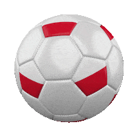 Ball Pilka Sticker by Laczynaspilka