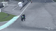 Franco Morbidelli Wow GIF by MotoGP