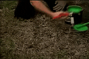 artist landscape GIF