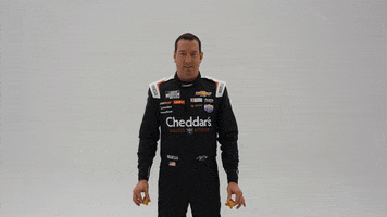 Kyle Busch Driver GIF by Richard Childress Racing