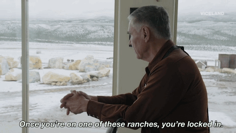 balls deep GIF by BALLS DEEP with Thomas Morton