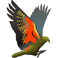 kiwi nz Sticker by Emotiki - The World's First Māori emoji app