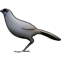 kiwi nz Sticker by Emotiki - The World's First Māori emoji app