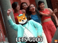 Shib Coin GIF by SHIB MEMES