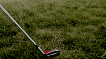 Shank GIF by GolfBarons