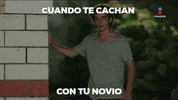 GIF by Imagen Televisión