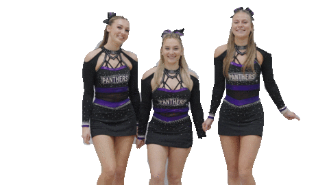 Cheer Gopanthers Sticker by University of Brighton