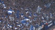 Football Soccer GIF by FC Schalke 04