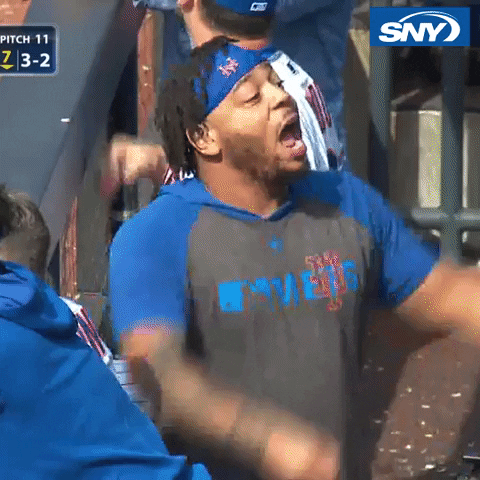 sny_tv giphyupload lets go mets lgm GIF