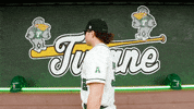 College Baseball Brian GIF by GreenWave