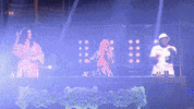 Lady Leshurr Comedy GIF by Don't Hate The Playaz