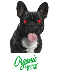French Bulldog Love Sticker by Dark Dog Organic
