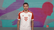 Fc Bayern Shock GIF by Bundesliga