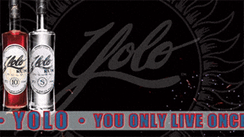 Yolo Happy New Year