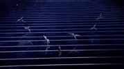 p!nk pink GIF by AMAs