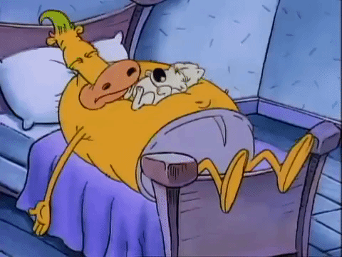 rockos modern life nicksplat GIF