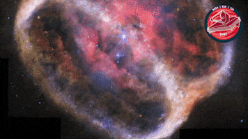 James Webb Nasa GIF by ESA Webb Space Telescope