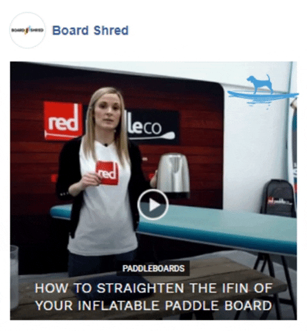 paddleboard ifin GIF by Gifs Lab
