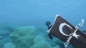 Faragalnemr GIF
