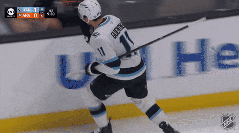 Happy Fun GIF by NHL
