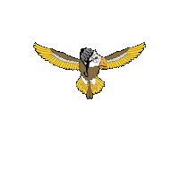 Skydiving Skydive Sticker by manufactoryapparel